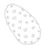 Noni
