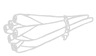 Zitronengras